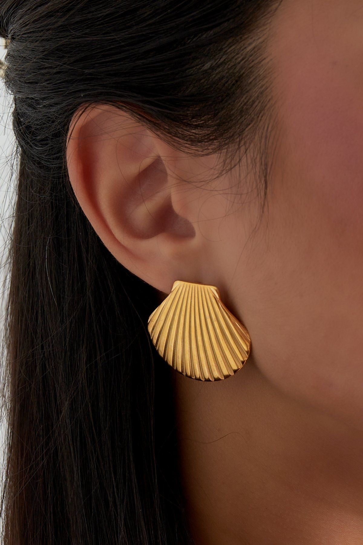 Shell Studs – GUTS.CO