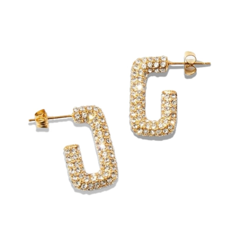 Dubai Bling Earrings