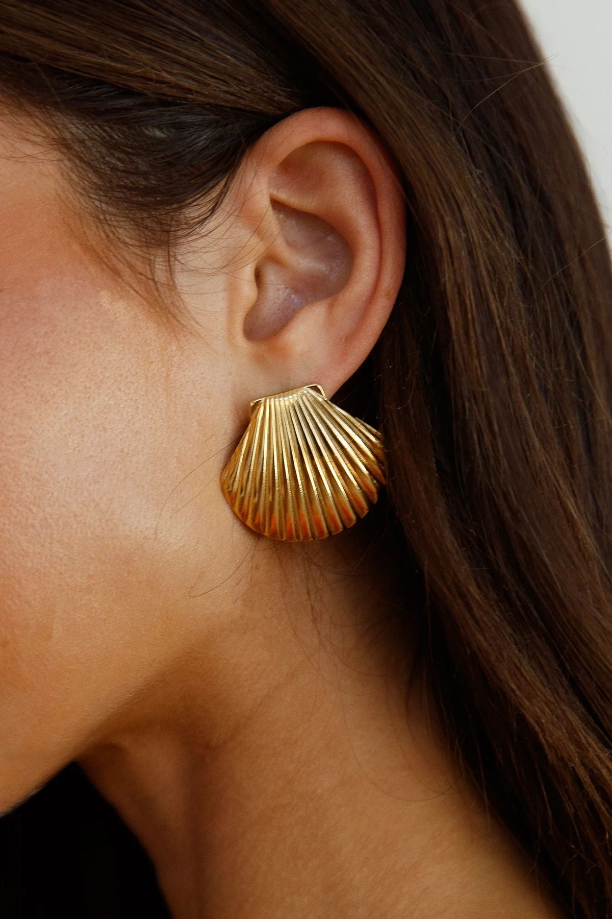 Shell Studs